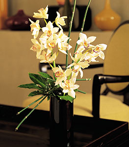 Artful Orchids 