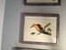 Wooden Framed Bird Print - 