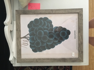 Wooden Framed Grape Print 