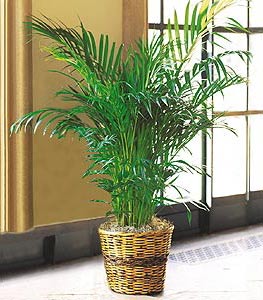 vintage hanging planter Pendant Planter main image 0