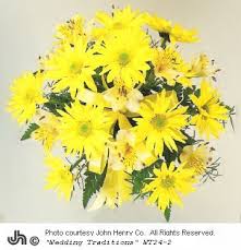 Daisy Bouquet 
