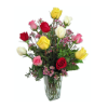 Dozen Multi-Colored Roses 