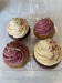 Gourmet Bakery Cupcakes - af-cupcake