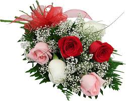 Half Dozen Rose Wrapped Bouquet 