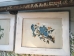 White framed Bird Prints Triple - 