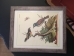 Wooden Framed Bird Print - 