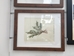 Wooden Framed Plant Print Pair - 