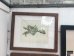 Wooden Framed Plant Print Pair - 