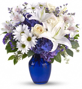 Blue and White lily, blue, white rose