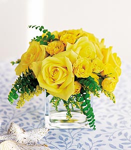 Yellow Rose Bravo! 