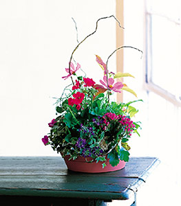 Summer Garden Planter 
