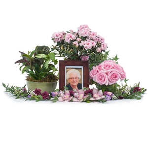 Lovely Lady Tribute - As Shown 