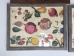 Wooden Framed Fruit Print Pair - 