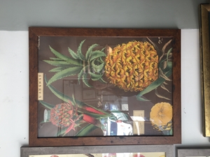 Wooden Framed Pineapple Print 