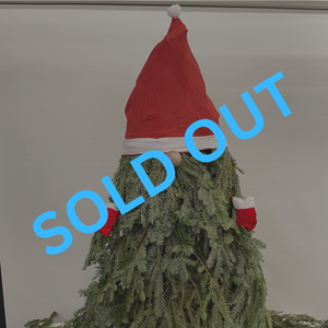 Thursday December 14th 6PM << SOLD OUT >>   Gnome Workshop 