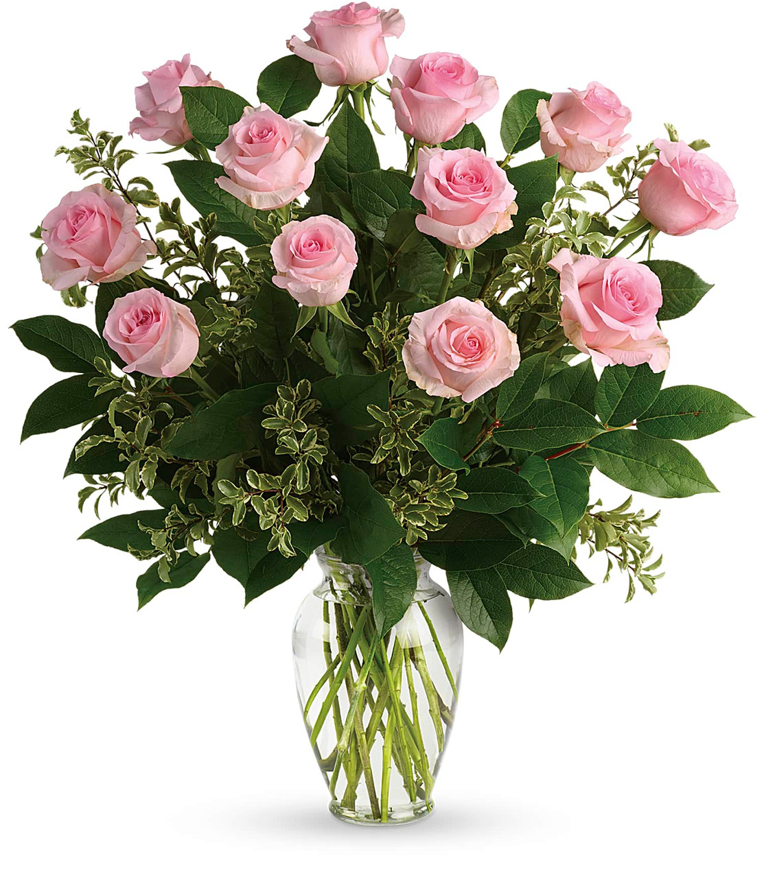 Dozen Pink Roses in Ambler, PA | Ambler Flower Shop
